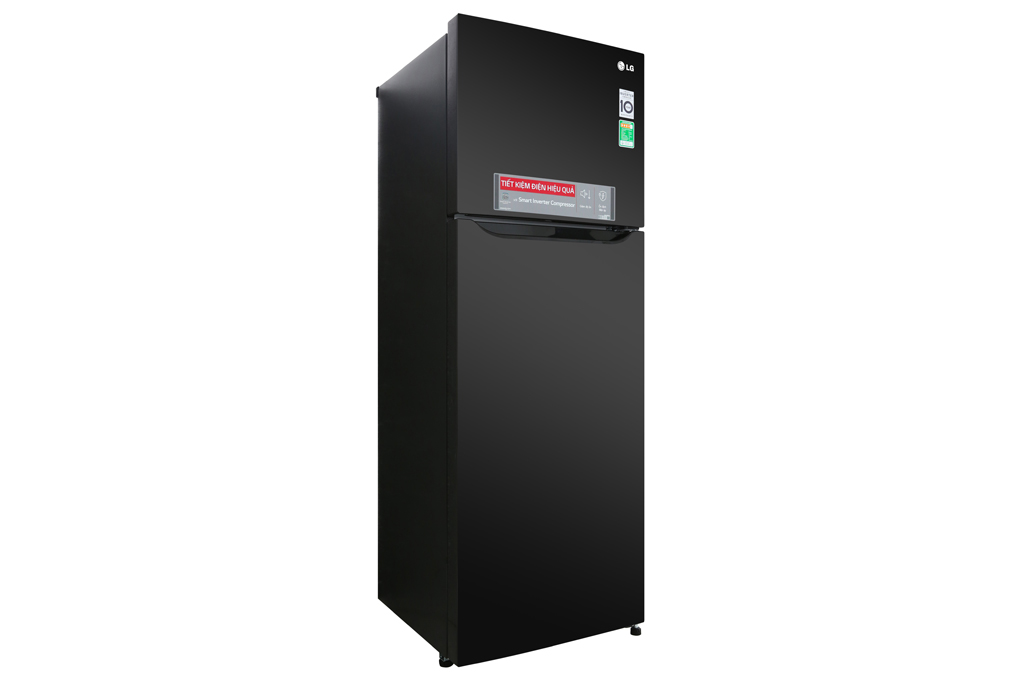 Mua tủ lạnh LG Inverter 315 lít GN-M315BL