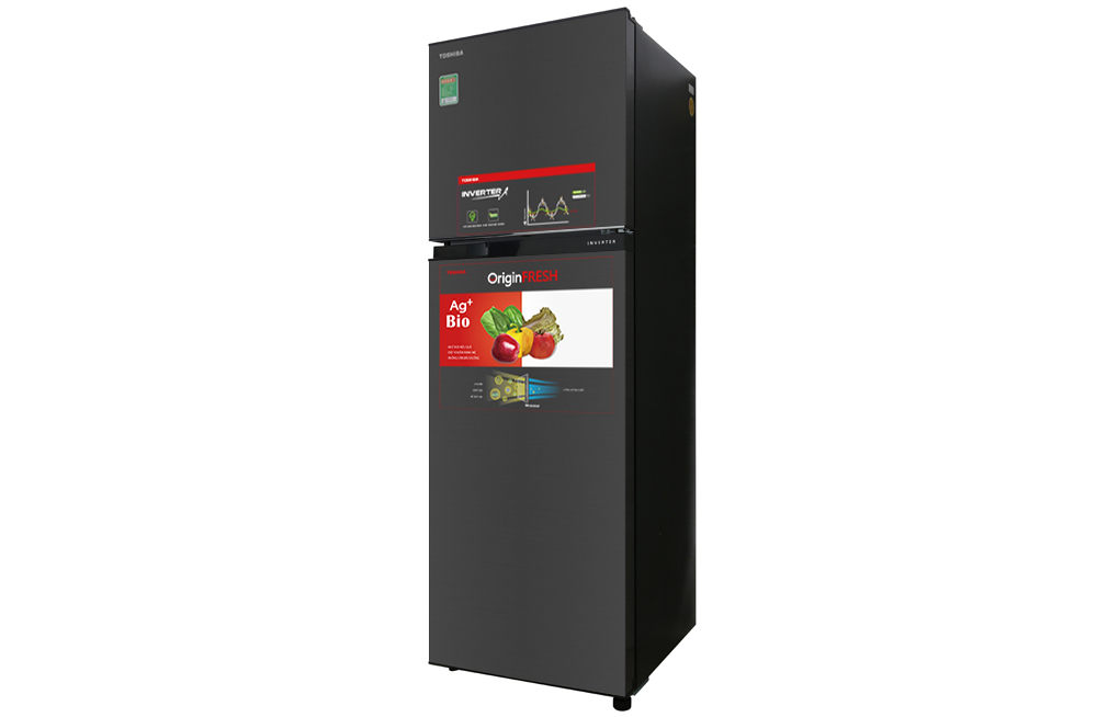 Tủ lạnh Toshiba Inverter 253 lít GR-B31VU SK chính hãng