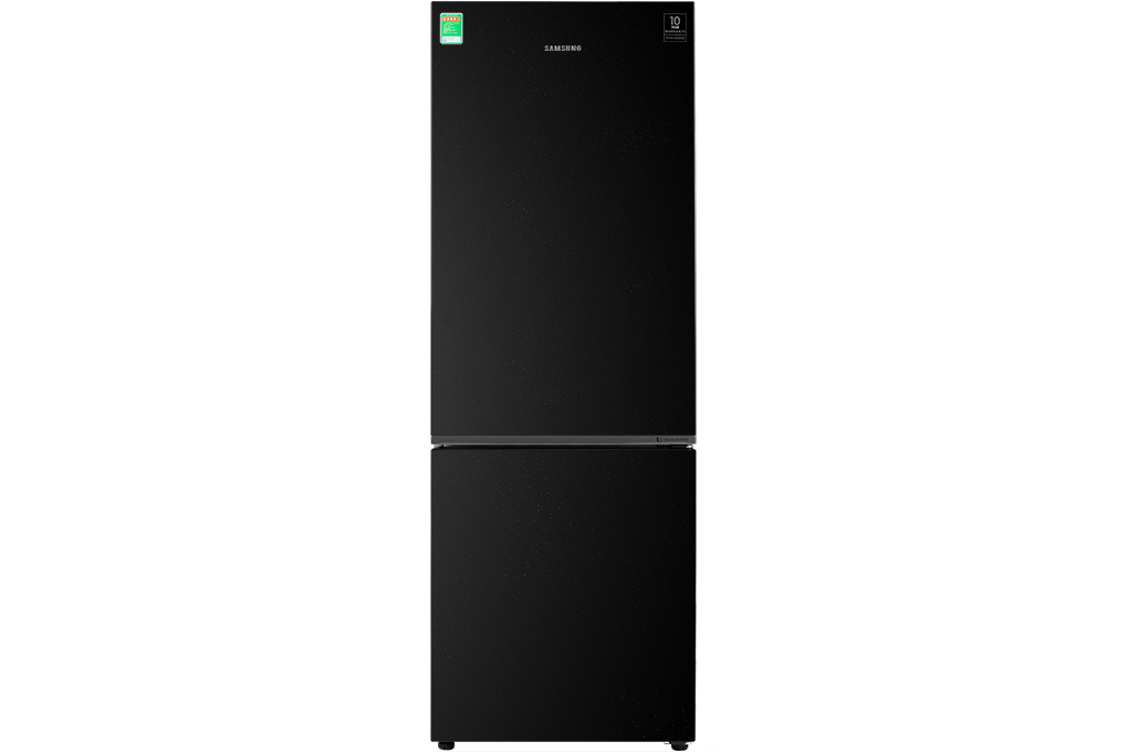 Mua tủ lạnh Samsung Inverter 310 lít RB30N4010BU/SV