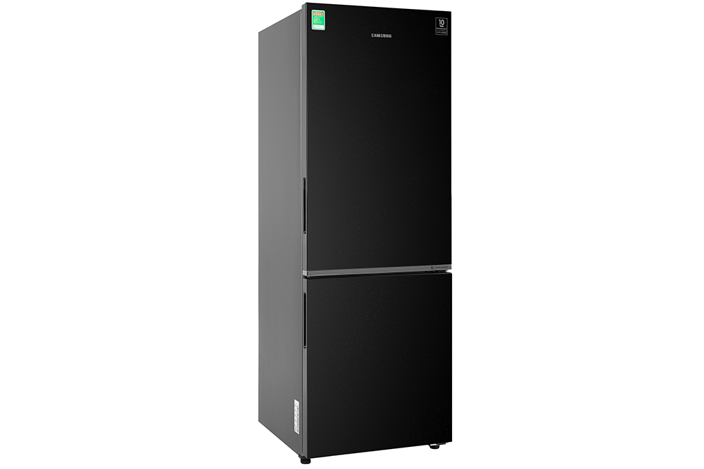 Tủ lạnh Samsung Inverter 310 lít RB30N4010BU/SV chính hãng