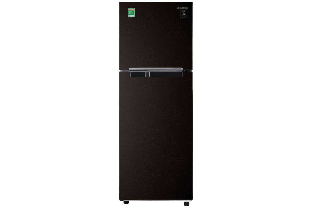 Mua tủ lạnh Samsung Inverter 236 lít RT22M4032BY/SV
