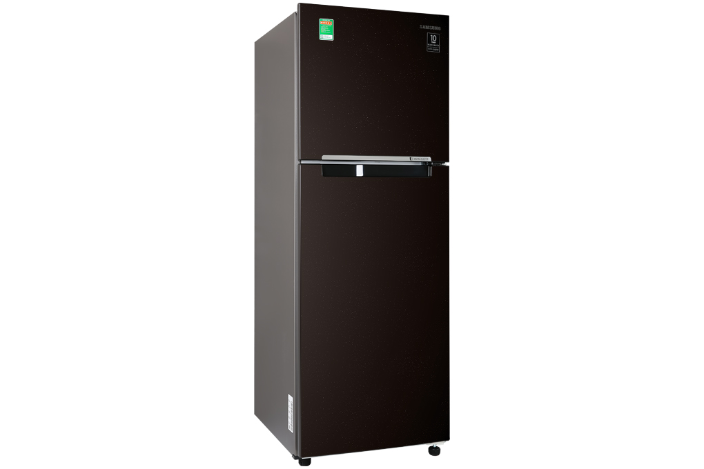 Tủ lạnh Samsung Inverter 236 lít RT22M4032BY/SV chính hãng