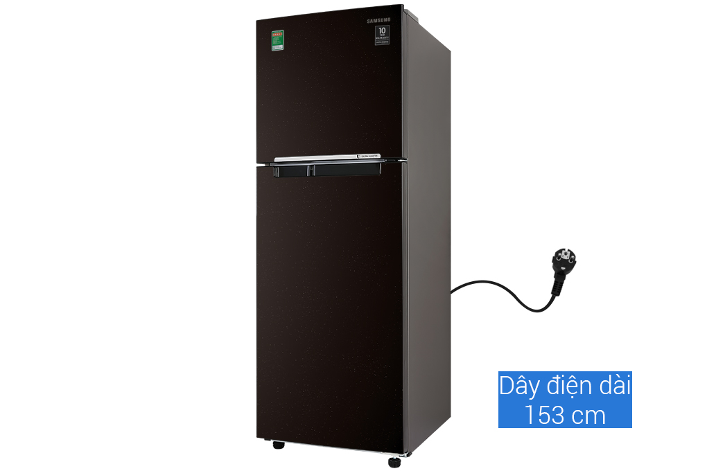 Tủ lạnh Samsung Inverter 236 lít RT22M4032BY/SV giá tốt