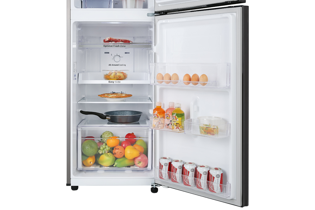 Tủ lạnh Samsung Inverter 236 lít RT22M4032BY/SV