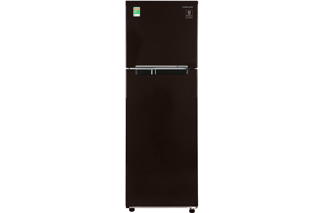 Mua tủ lạnh Samsung Inverter 256 lít RT25M4032BY/SV