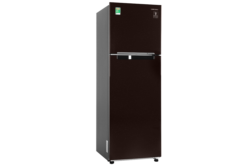 Tủ lạnh Samsung Inverter 256 lít RT25M4032BY/SV chính hãng