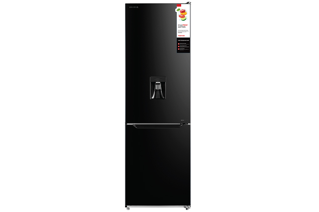 Tủ lạnh Toshiba Inverter 268 lít GR-RB345WE-PMV(30)-BS Mới 2021