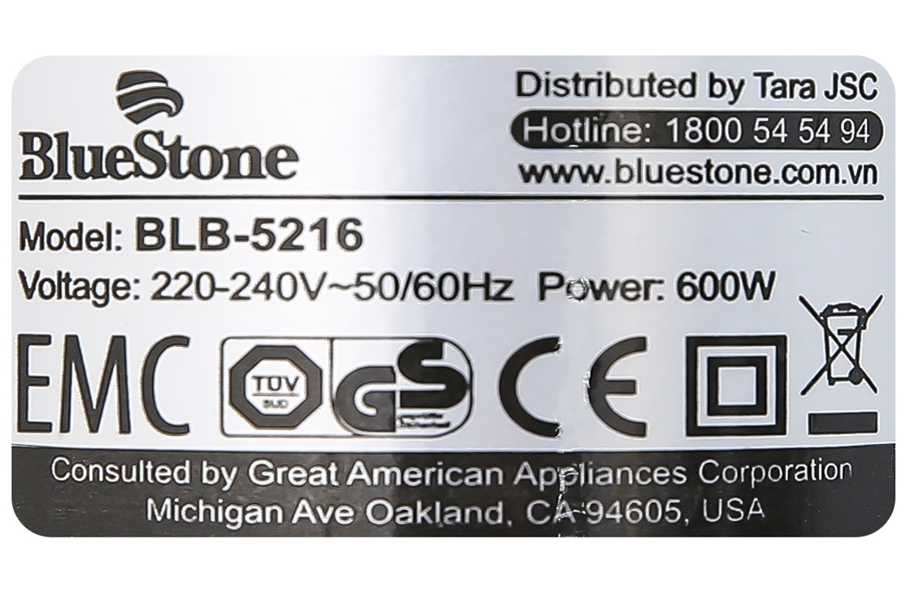 Máy xay sinh tố cầm tay Bluestone BLB-5216
