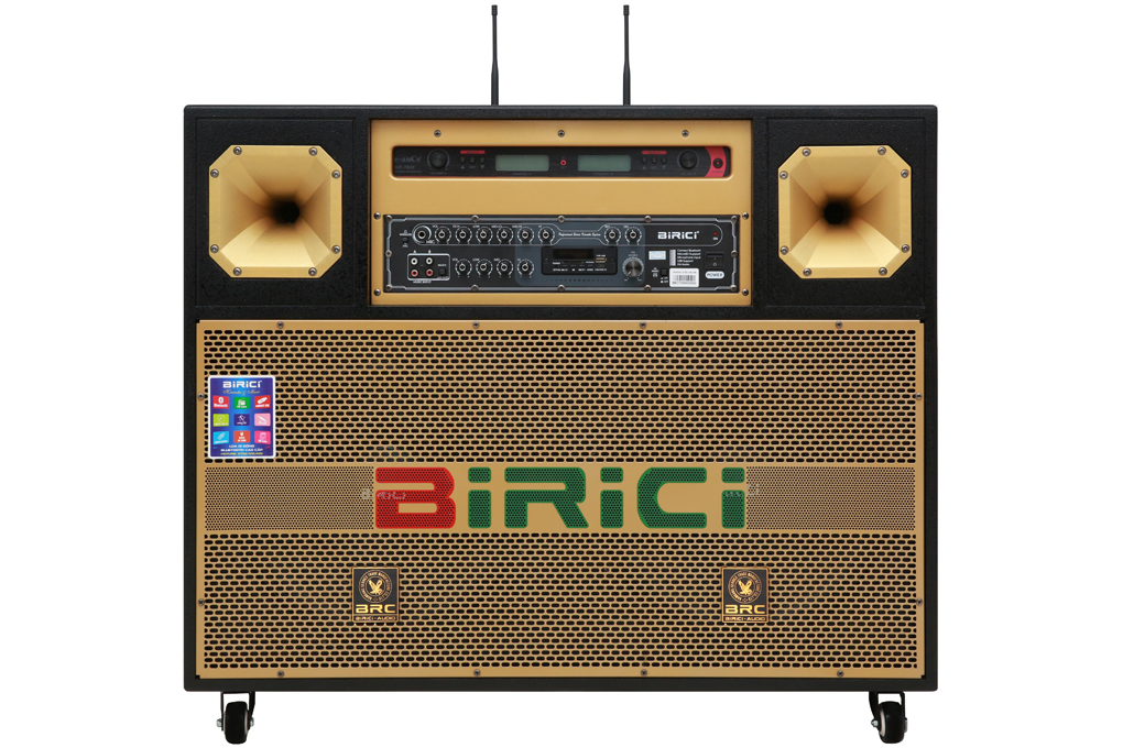 Loa điện Karaoke Birici MX-700 450W