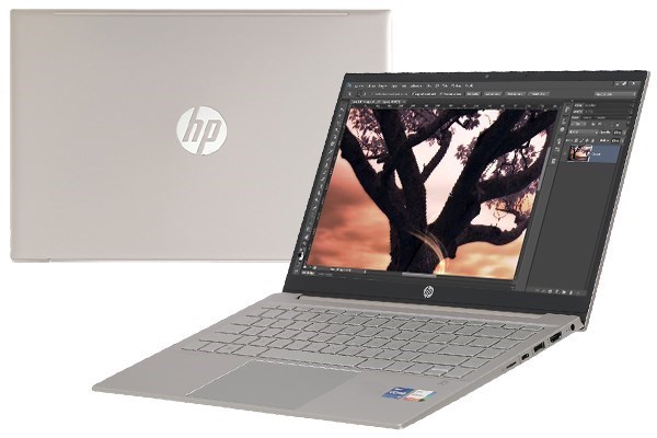 Laptop HP Pavilion 14 dv0516TU i3 1125G4/4GB/256GB/Win11 (46L88PA)