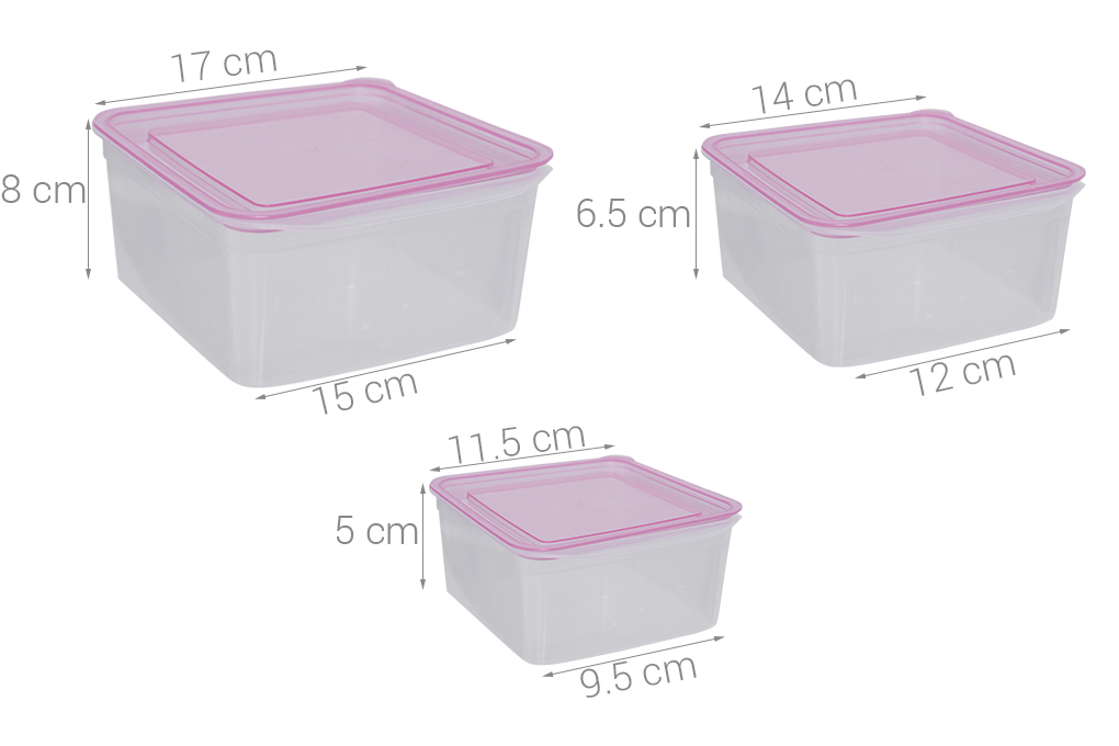 Bộ 3 hộp đựng thực phẩm nhựa Thái Lan 300 - 650 ml - 1.1 lít JCJ-H03-01