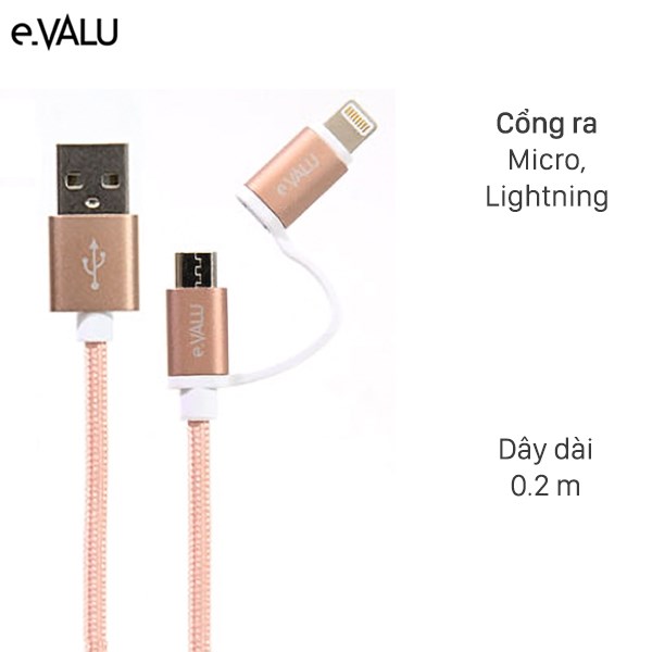 Dây cáp 2 in 1 Lightning và Micro USB 0.2 m eValu LTD-02