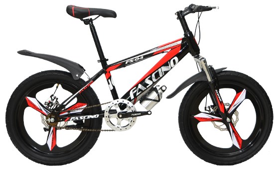 Xe đạp địa hình MTB Fascino FS-04 20 inch