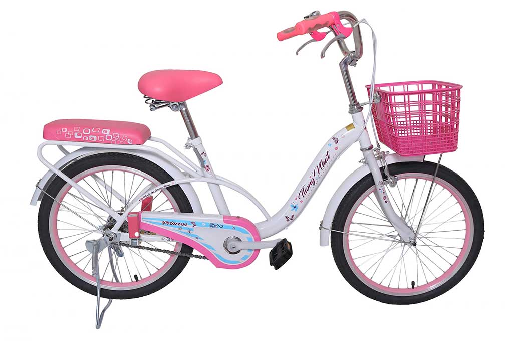 Xe đạp trẻ em Thống Nhất Neo 20-03 20 inch