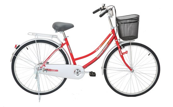 Xe đạp đường phố City Thống Nhất 219-24 24 inch