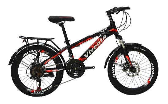 Xe đạp địa hình MTB Vivente 20Q1 20 inch