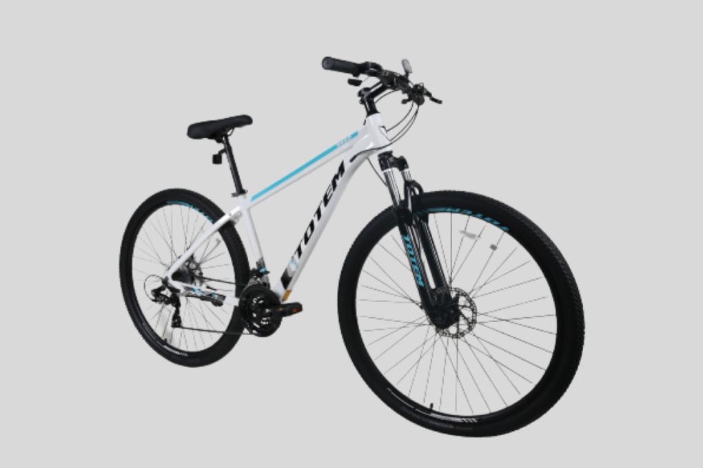 Xe đạp địa hình MTB Totem W860 27.5 inch Size L