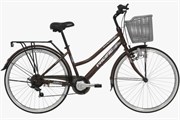 Xe đạp đường phố City Pacific Ravella XT 26 inch nâu